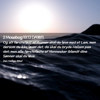 Picture 02 - 2 Mosebog 13:13 DA1871 - Og alt førstefødt af Asener skal du løse med - Bible Verse Picture