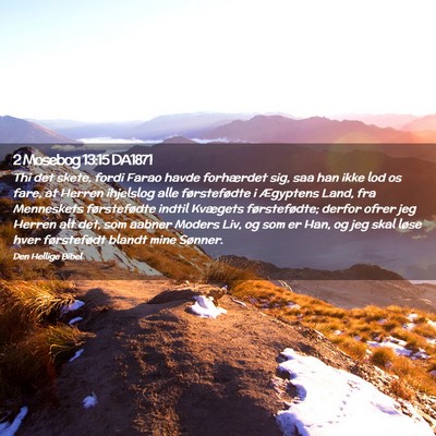 Picture 02 - 2 Mosebog 13:15 DA1871 - Thi det skete, fordi Farao havde forhærdet sig, - Bible Verse Picture
