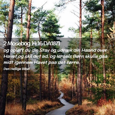 Picture 02 - 2 Mosebog 14:16 DA1871 - og opløft du din Stav og udræk din Haand over - Bible Verse Picture