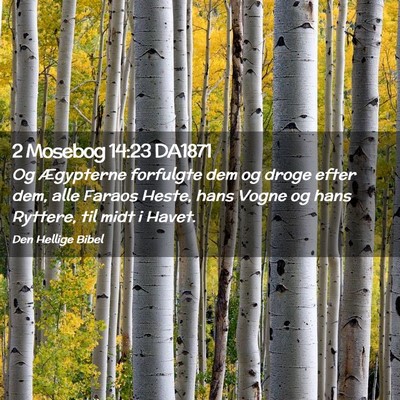 Picture 02 - 2 Mosebog 14:23 DA1871 - Og Ægypterne forfulgte dem og droge efter dem, - Bible Verse Picture