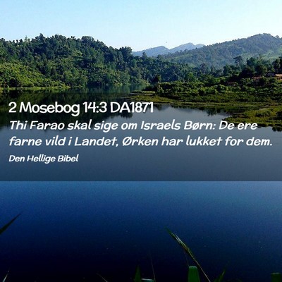 Picture 02 - 2 Mosebog 14:3 DA1871 - Thi Farao skal sige om Israels Børn: De ere - Bible Verse Picture
