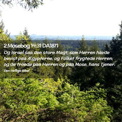 Picture 02 - 2 Mosebog 14:31 DA1871 - Og Israel saa den store Magt, som Herren havde - Bible Verse Picture