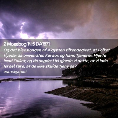 Picture 02 - 2 Mosebog 14:5 DA1871 - Og det blev Kongen af Ægypten tilkendegivet, at - Bible Verse Picture