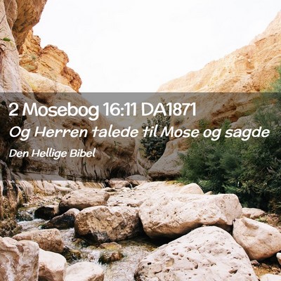 Picture 02 - 2 Mosebog 16:11 DA1871 - Og Herren talede til Mose og - Bible Verse Picture