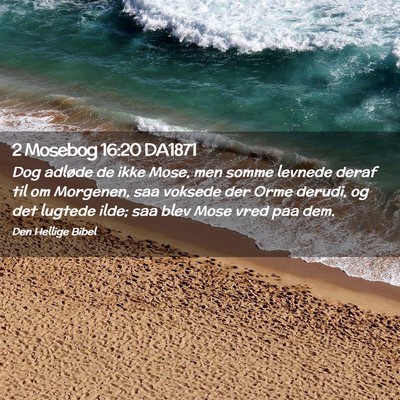 Picture 02 - 2 Mosebog 16:20 DA1871 - Dog adløde de ikke Mose, men somme levnede deraf - Bible Verse Picture