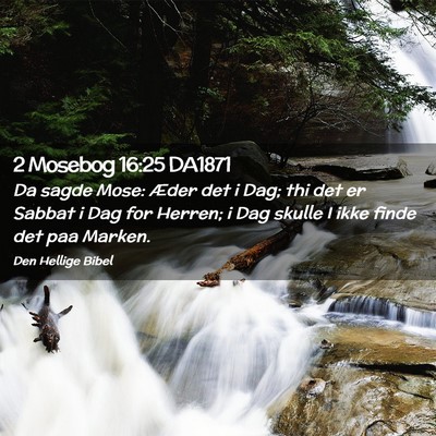 Picture 02 - 2 Mosebog 16:25 DA1871 - Da sagde Mose: Æder det i Dag; thi det er Sabbat - Bible Verse Picture