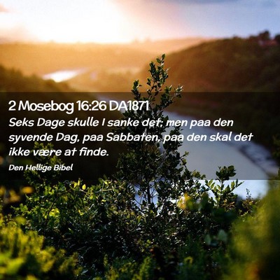 Picture 02 - 2 Mosebog 16:26 DA1871 - Seks Dage skulle I sanke det; men paa den syvende - Bible Verse Picture