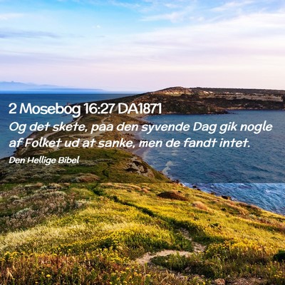 Picture 02 - 2 Mosebog 16:27 DA1871 - Og det skete, paa den syvende Dag gik nogle af - Bible Verse Picture