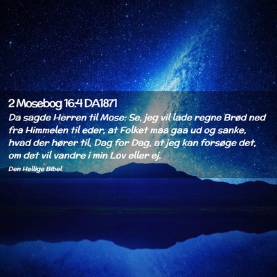 Picture 02 - 2 Mosebog 16:4 DA1871 - Da sagde Herren til Mose: Se, jeg vil lade regne - Bible Verse Picture