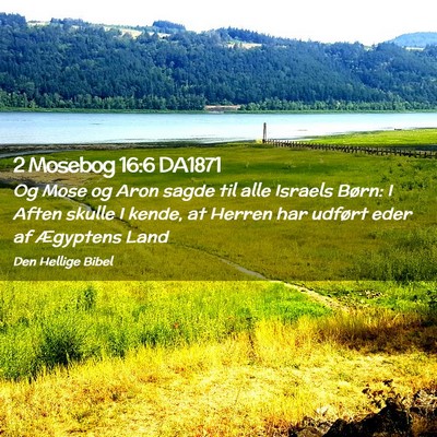 Picture 02 - 2 Mosebog 16:6 DA1871 - Og Mose og Aron sagde til alle Israels Børn: I - Bible Verse Picture