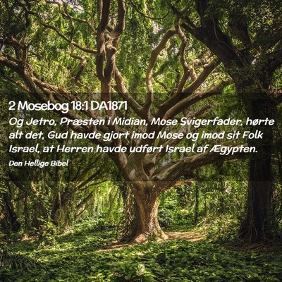 Picture 02 - 2 Mosebog 18:1 DA1871 - Og Jetro, Præsten i Midian, Mose Svigerfader, - Bible Verse Picture