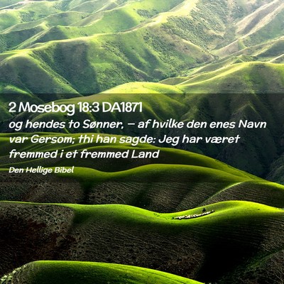 Picture 02 - 2 Mosebog 18:3 DA1871 - og hendes to Sønner, — af hvilke den enes Navn - Bible Verse Picture