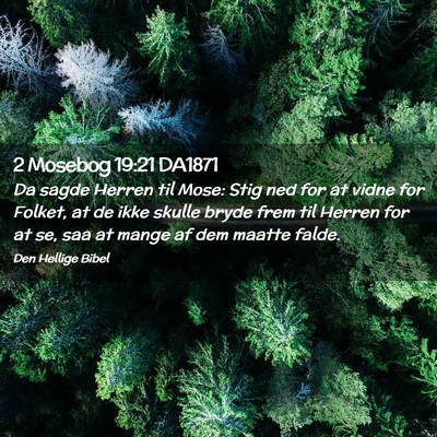Picture 02 - 2 Mosebog 19:21 DA1871 - Da sagde Herren til Mose: Stig ned for at vidne - Bible Verse Picture