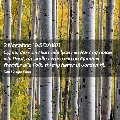 Picture 02 - 2 Mosebog 19:5 DA1871 - Og nu, dersom I kun ville lyde min Røst og holde - Bible Verse Picture