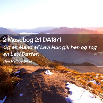 Picture 02 - 2 Mosebog 2:1 DA1871 - Og en Mand af Levi Hus gik hen og tog en Levi - Bible Verse Picture