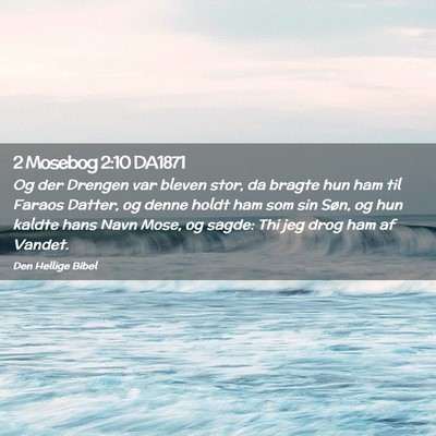 Picture 02 - 2 Mosebog 2:10 DA1871 - Og der Drengen var bleven stor, da bragte hun ham - Bible Verse Picture