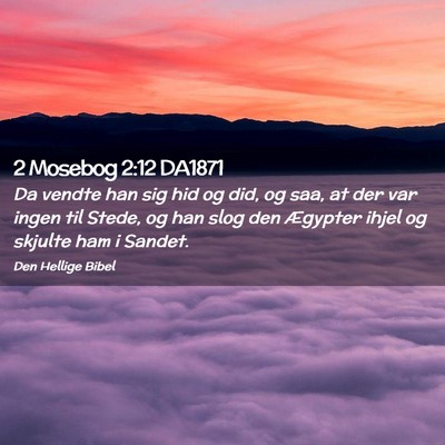 Picture 02 - 2 Mosebog 2:12 DA1871 - Da vendte han sig hid og did, og saa, at der var - Bible Verse Picture