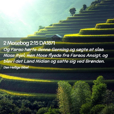 Picture 02 - 2 Mosebog 2:15 DA1871 - Og Farao hørte denne Gerning og søgte at slaa - Bible Verse Picture