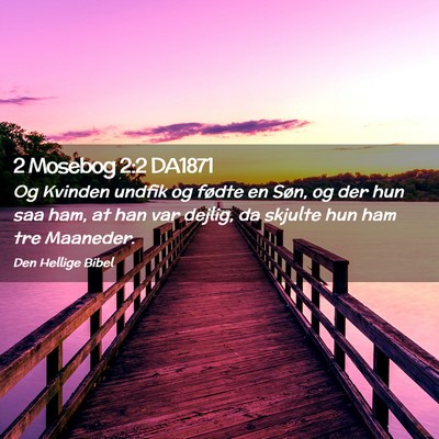 Picture 02 - 2 Mosebog 2:2 DA1871 - Og Kvinden undfik og fødte en Søn, og der hun - Bible Verse Picture
