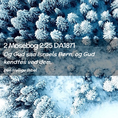 Picture 02 - 2 Mosebog 2:25 DA1871 - Og Gud saa Israels Børn, og Gud kendtes ved - Bible Verse Picture