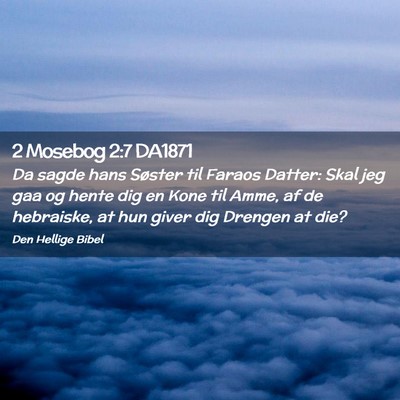 Picture 02 - 2 Mosebog 2:7 DA1871 - Da sagde hans Søster til Faraos Datter: Skal jeg - Bible Verse Picture