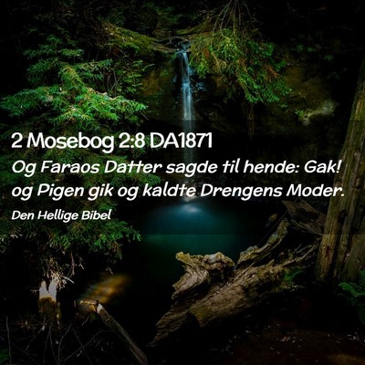 Picture 02 - 2 Mosebog 2:8 DA1871 - Og Faraos Datter sagde til hende: Gak! og Pigen - Bible Verse Picture