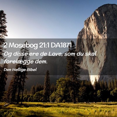 Picture 02 - 2 Mosebog 21:1 DA1871 - Og disse ere de Love, som du skal forelægge - Bible Verse Picture