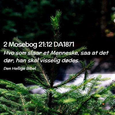 Picture 02 - 2 Mosebog 21:12 DA1871 - Hvo som slaar et Menneske, saa at det dør, han - Bible Verse Picture