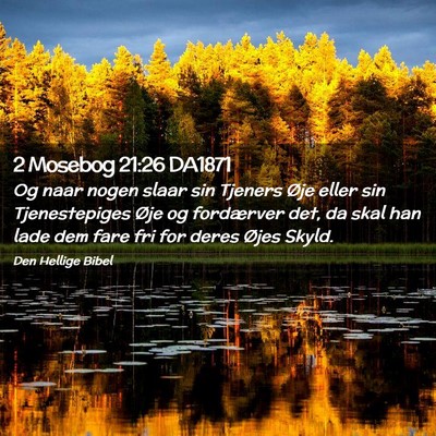 Picture 02 - 2 Mosebog 21:26 DA1871 - Og naar nogen slaar sin Tjeners Øje eller sin - Bible Verse Picture