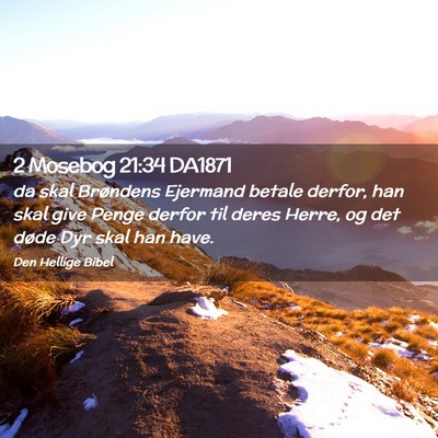 Picture 02 - 2 Mosebog 21:34 DA1871 - da skal Brøndens Ejermand betale derfor, han - Bible Verse Picture