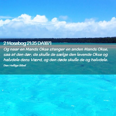 Picture 02 - 2 Mosebog 21:35 DA1871 - Og naar en Mands Okse stanger en anden Mands - Bible Verse Picture