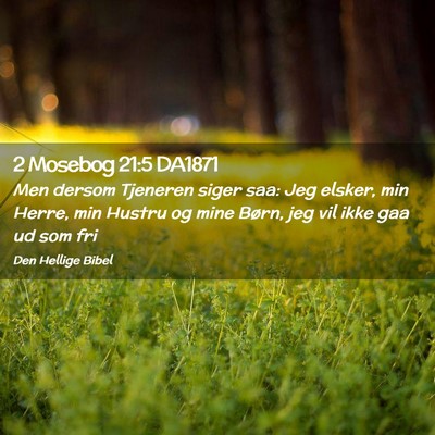 Picture 02 - 2 Mosebog 21:5 DA1871 - Men dersom Tjeneren siger saa: Jeg elsker, min - Bible Verse Picture