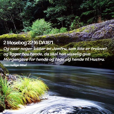 Picture 02 - 2 Mosebog 22:16 DA1871 - Og naar nogen lokker en Jomfru, som ikke er - Bible Verse Picture