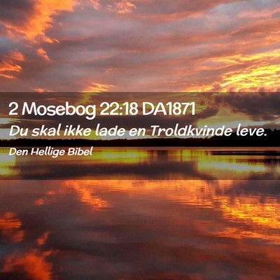 Picture 02 - 2 Mosebog 22:18 DA1871 - Du skal ikke lade en Troldkvinde - Bible Verse Picture