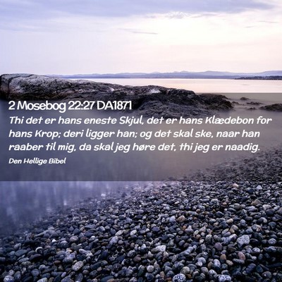 Picture 02 - 2 Mosebog 22:27 DA1871 - Thi det er hans eneste Skjul, det er hans - Bible Verse Picture