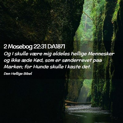 Picture 02 - 2 Mosebog 22:31 DA1871 - Og I skulle være mig aldeles hellige Mennesker - Bible Verse Picture