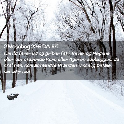 Picture 02 - 2 Mosebog 22:6 DA1871 - Om Ild farer ud og griber fat i Torne, og Negene - Bible Verse Picture