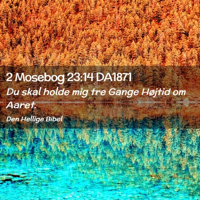 Picture 02 - 2 Mosebog 23:14 DA1871 - Du skal holde mig tre Gange Højtid om - Bible Verse Picture