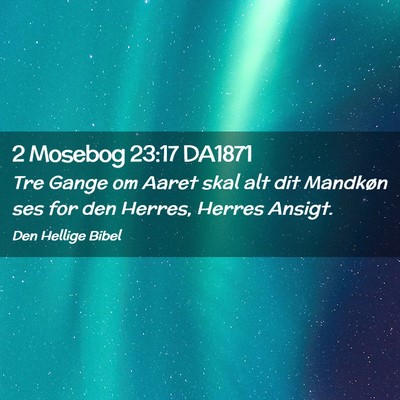 Picture 02 - 2 Mosebog 23:17 DA1871 - Tre Gange om Aaret skal alt dit Mandkøn ses for - Bible Verse Picture