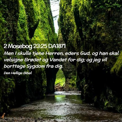 Picture 02 - 2 Mosebog 23:25 DA1871 - Men I skulle tjene Herren, eders Gud, og han skal - Bible Verse Picture