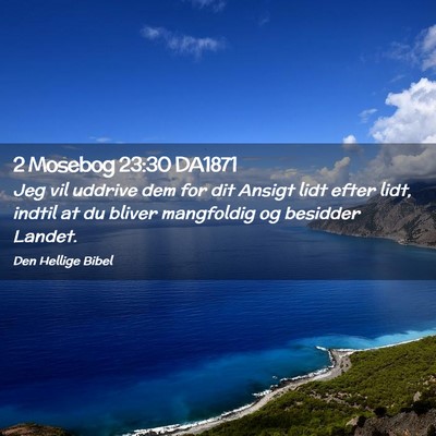 Picture 02 - 2 Mosebog 23:30 DA1871 - Jeg vil uddrive dem for dit Ansigt lidt efter - Bible Verse Picture