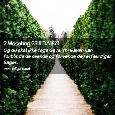 Picture 02 - 2 Mosebog 23:8 DA1871 - Og du skal ikke tage Gave; thi Gaven kan - Bible Verse Picture