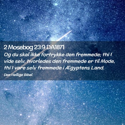 Picture 02 - 2 Mosebog 23:9 DA1871 - Og du skal ikke fortrykke den fremmede; thi I - Bible Verse Picture