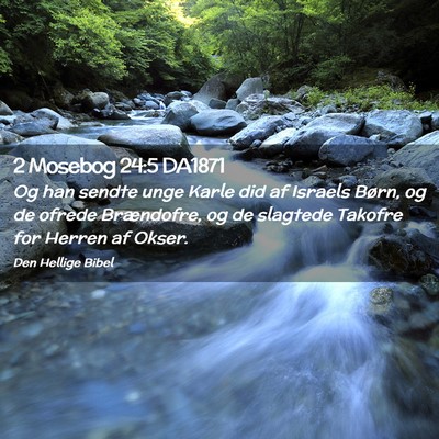 Picture 02 - 2 Mosebog 24:5 DA1871 - Og han sendte unge Karle did af Israels Børn, og - Bible Verse Picture