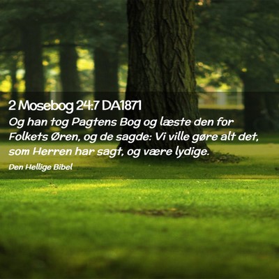 Picture 02 - 2 Mosebog 24:7 DA1871 - Og han tog Pagtens Bog og læste den for Folkets - Bible Verse Picture