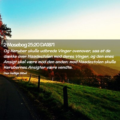Picture 02 - 2 Mosebog 25:20 DA1871 - Og Keruber skulle udbrede Vinger ovenover, saa at - Bible Verse Picture
