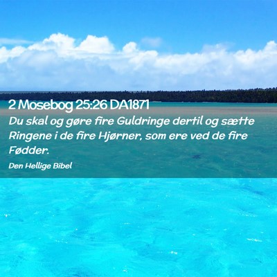 Picture 02 - 2 Mosebog 25:26 DA1871 - Du skal og gøre fire Guldringe dertil og sætte - Bible Verse Picture