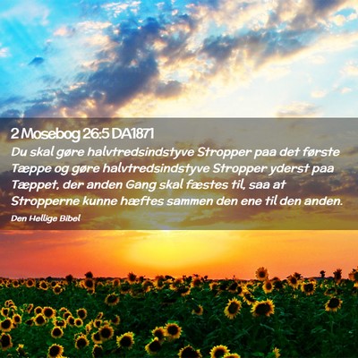 Picture 02 - 2 Mosebog 26:5 DA1871 - Du skal gøre halvtredsindstyve Stropper paa det - Bible Verse Picture
