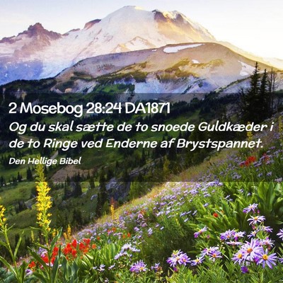 Picture 02 - 2 Mosebog 28:24 DA1871 - Og du skal sætte de to snoede Guldkæder i de to - Bible Verse Picture