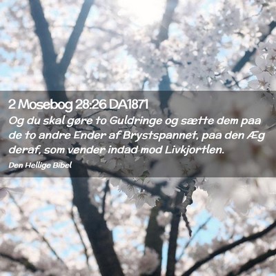 Picture 02 - 2 Mosebog 28:26 DA1871 - Og du skal gøre to Guldringe og sætte dem paa - Bible Verse Picture